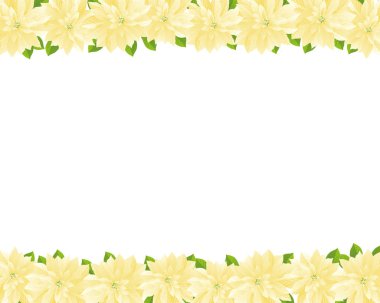 Poinsettias 'ın kutsal arkaplan çizimi