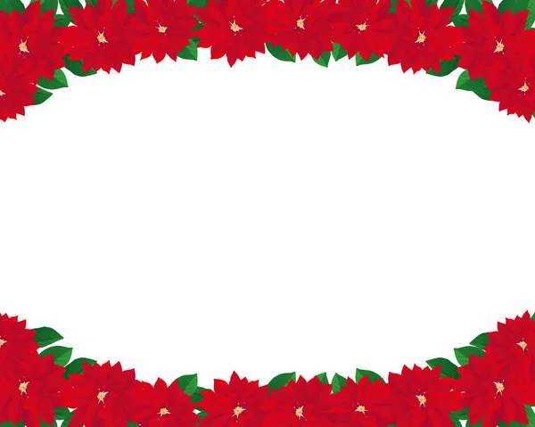 Saint Fond Illustration Poinsettias — Image vectorielle