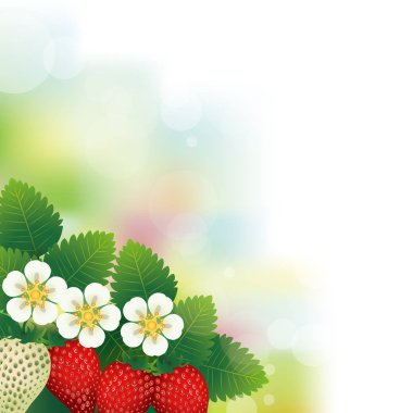 Parlak gün ışığında çilekler