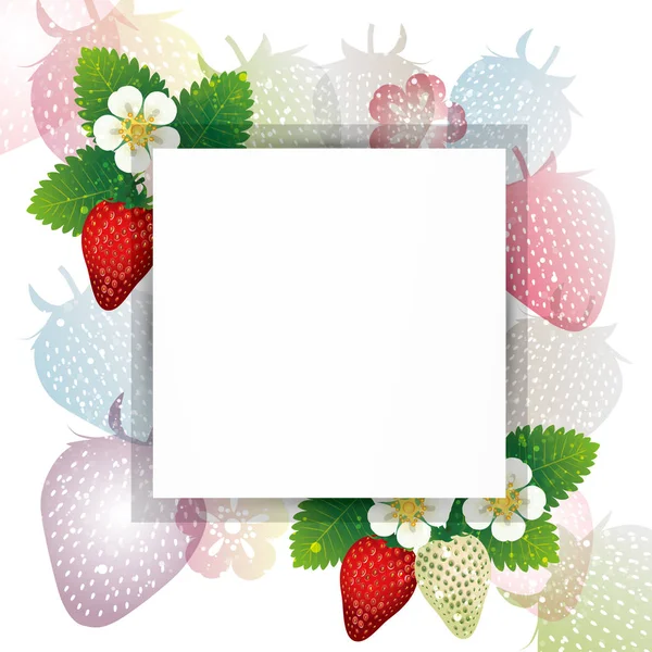 Frame Strawberry Blossom Background — Stock Vector