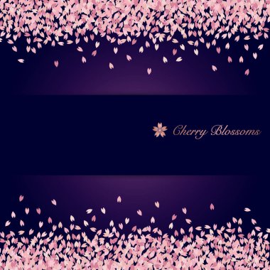 Kiraz çiçekleri yağmurunun arka planı