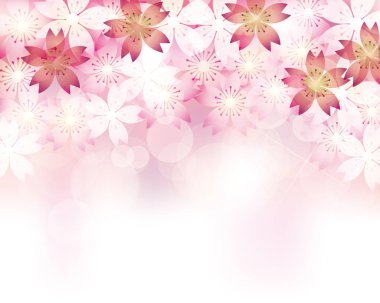 Kiraz çiçeklerinin arkaplan çizimi