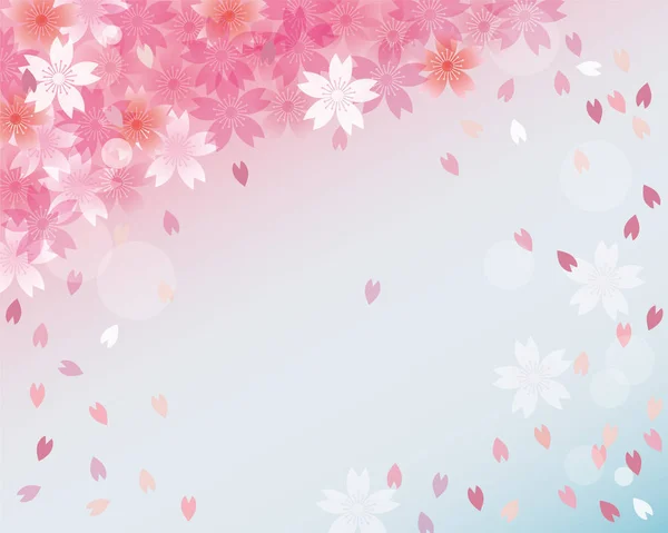 Bakgrund Dusch Körsbär Blommor — Stock vektor