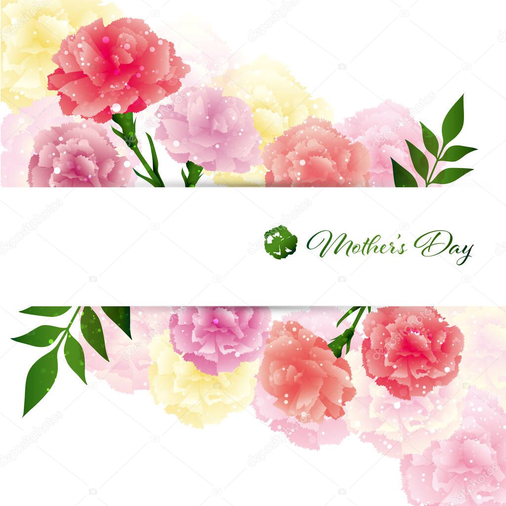 background illustration of carnations
