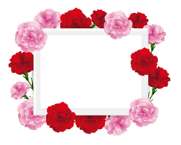 Art Frame Carnations Illustration — Stock Vector
