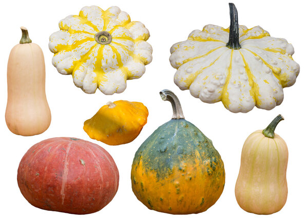 Коллекция тыкв и сквош изолированы на белом фоне
