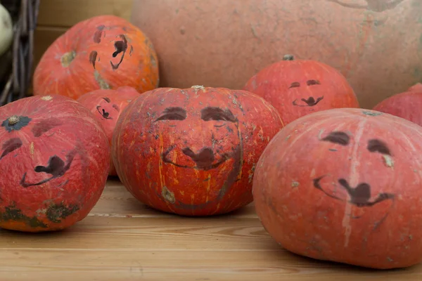 Smiling pumpkins, the installation on the theme of Halloween
