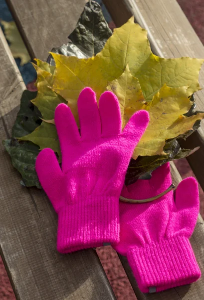 Knitted pink gloves and autumn leaves on a bench