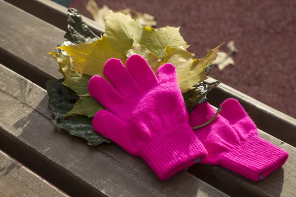 Knitted pink gloves and autumn leaves on a bench
