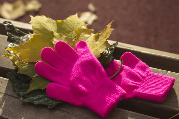 Knitted pink gloves on the bench with yellow autumn leaves
