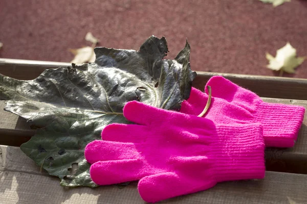 Gestrickte rosa Handschuhe und Herbstblätter auf einer Bank — Stockfoto