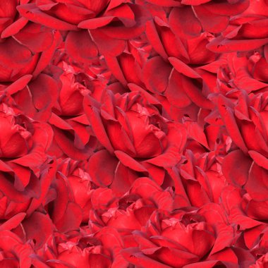 Güllerle kırmızı, pürüzsüz desen