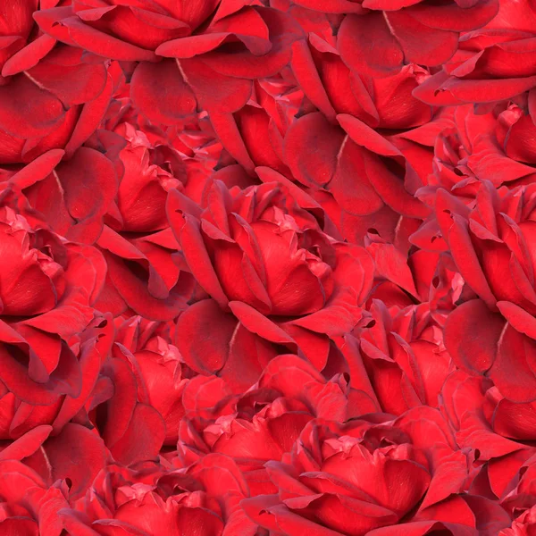 Güllerle kırmızı, pürüzsüz desen