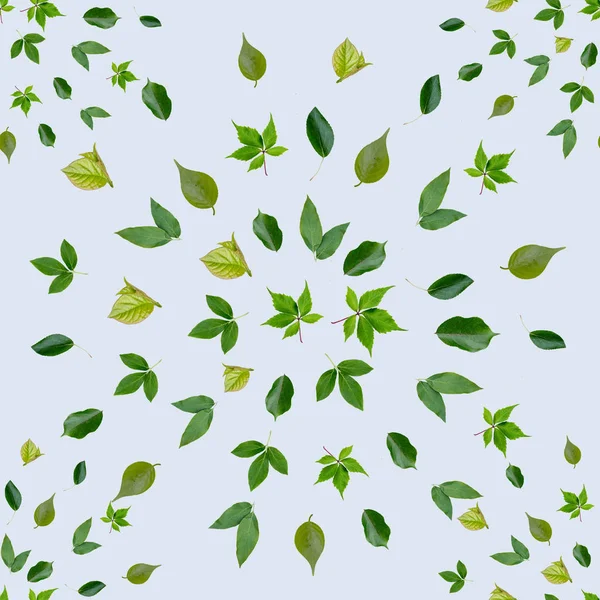Seamless mönster med grön lämnar isolerade — Stockfoto