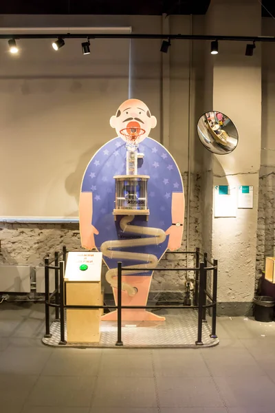 Model van het menselijke spijsverteringsstelsel in een interactief museum "levende systemen" — Stockfoto