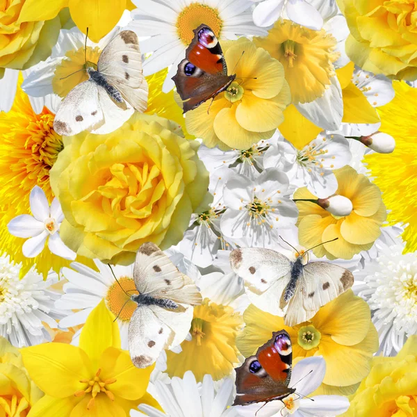 Безшовний фон з жовтими, білими квітами та білим маслом — стокове фото