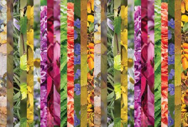 Dikey şeritler, yatay renkli kolaj.