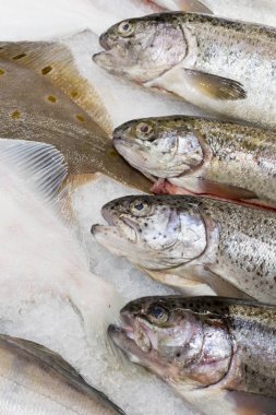 Markette taze balık