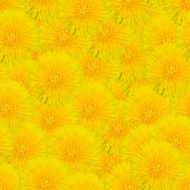 Sarı dandelions ile sorunsuz bahar arka plan