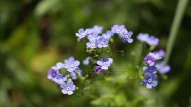 Güneşli bir yaz romantik unutma