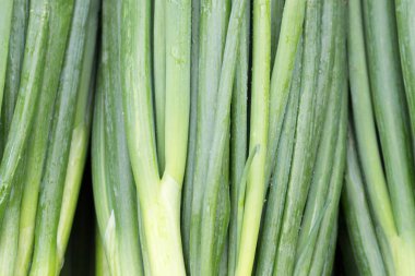 yeşil soğan tatlı