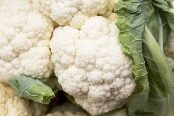 Blumenkohl Nahaufnahme, Hintergrund — Stockfoto