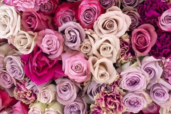 Arrangement of pink, white, lilac  living roses and carnation — Stock Photo, Image