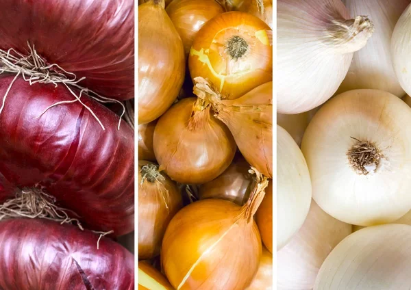 Collage de diferentes variedades de cebolla —  Fotos de Stock