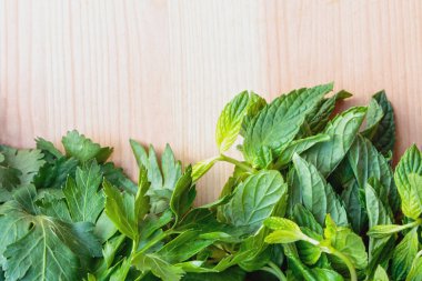 Maydanoz ve nane bir ahşap tahta üzerinde