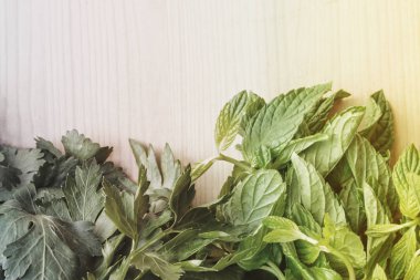 Maydanoz ve nane bir ahşap tahta üzerinde