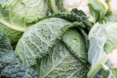 Piyasada çiğ Savoy lahana