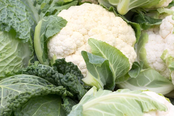 Bloemkool op de teller van de markt — Stockfoto