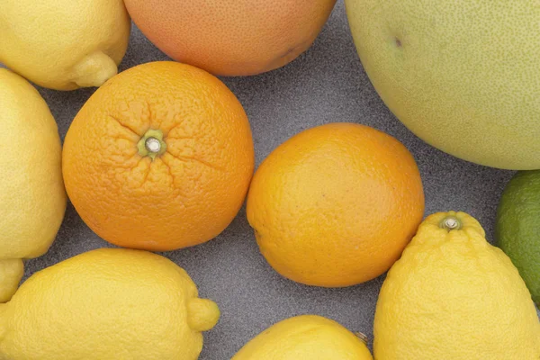 Smíšené citrusové plody, včetně citronů, pomeranč, limety, grep, pomelo. — Stock fotografie