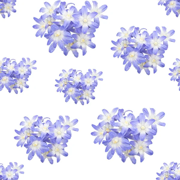 Spring flowers seamless background pattern — Stock Photo, Image
