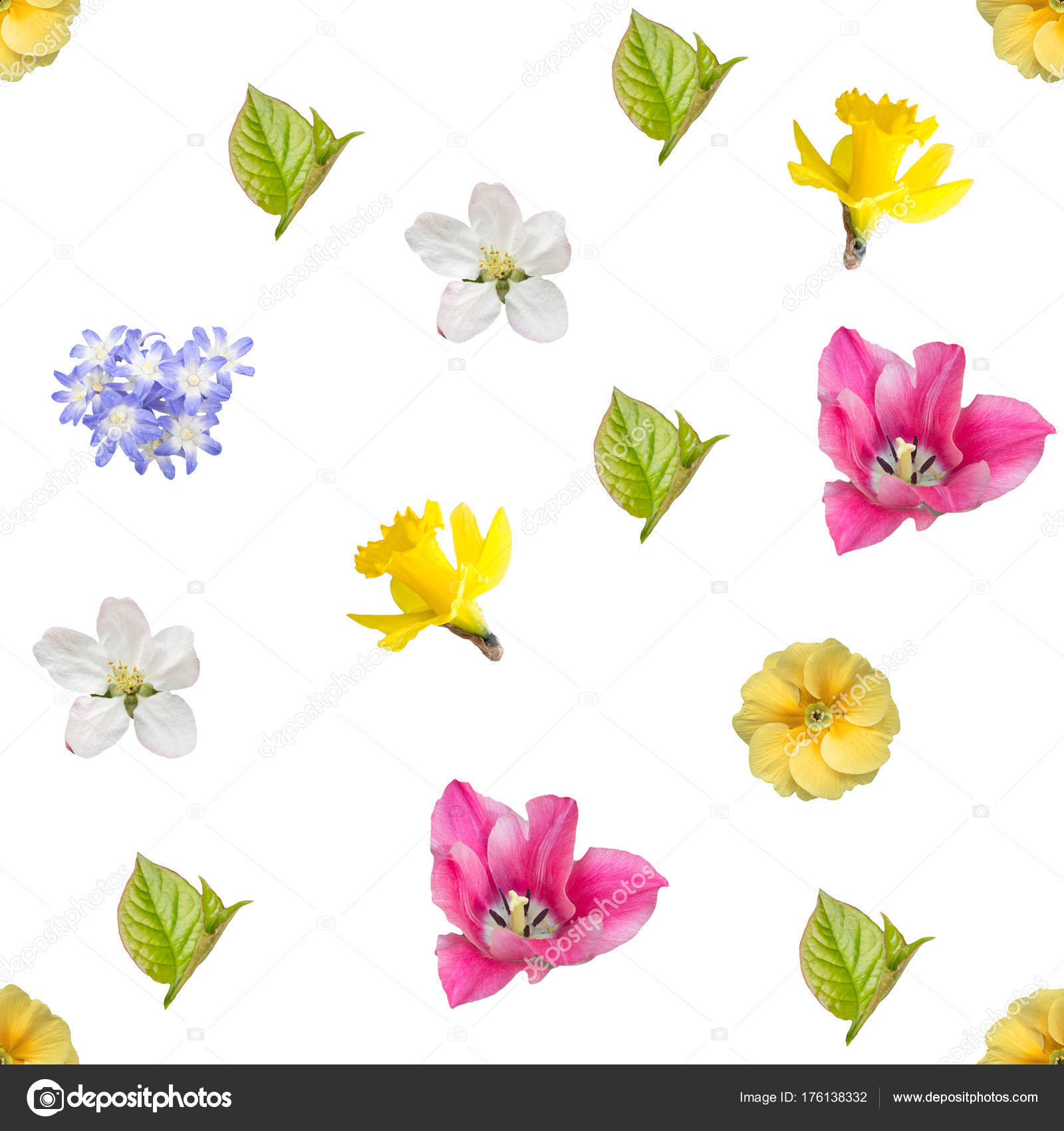 Dessin De Fond Transparente Fleurs Printemps Photographie