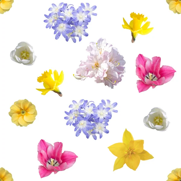 Flores de primavera patrón de fondo sin costuras — Foto de Stock