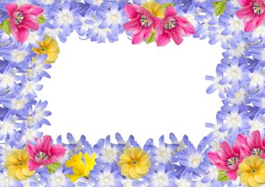 Çerçeve, beyaz arka plan üzerinde izole bahar çiçekleri kartpostal. 