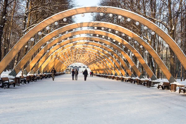 Sokolniki park, güneşli kış günü, ahşap kemer - pa sembolü