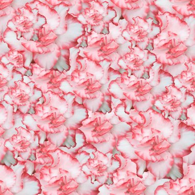 Açelya ile Seamless Modeli