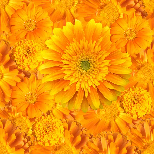 Nahtloses Muster mit orangen Blüten — Stockfoto