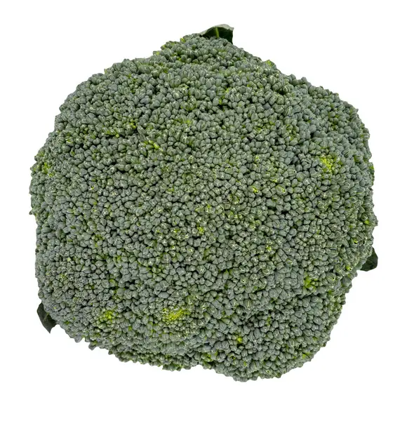Brokkoli Kopf isoliert auf einem weißen — Stockfoto