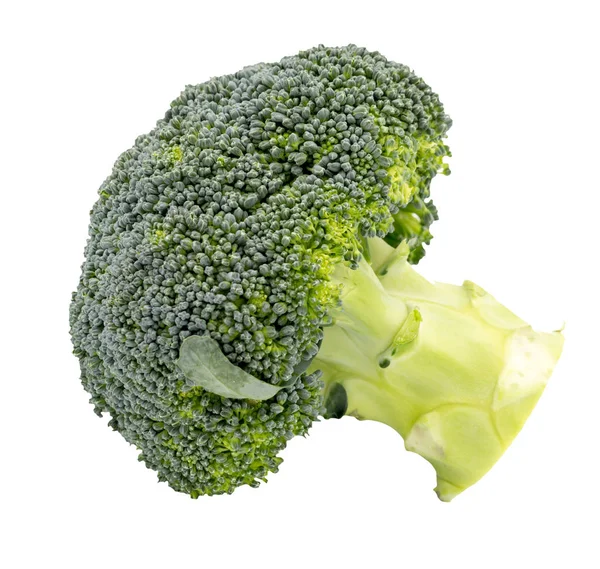 Broccoli head isolated on a white — ストック写真