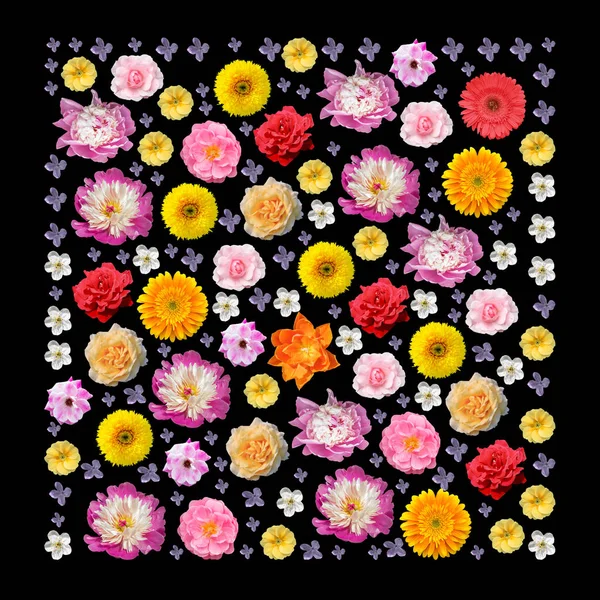 Black Square Floral Pattern Collage Flowers Isolated Possible Pattern Handkerchief — 스톡 사진