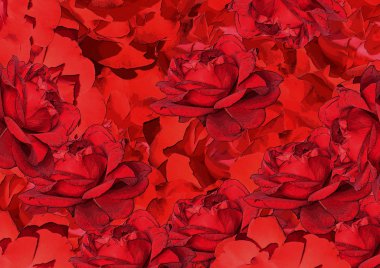 Kırmızı gül çiçekleri kolajı, yatay. Telefon, kartlar, arka planlar, ekran koruyucular, duvar kağıtları olarak kullanmak için.