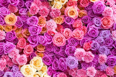 Pembe güller ve karanfiller, üst manzara, düz yatış. Çiçek arkaplanı.