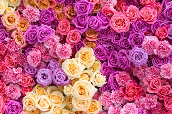 Rozmieszczenie Różowe Żywe Róże Goździki Widok Góry Płaski Leżał Tło — Zdjęcie stockowe