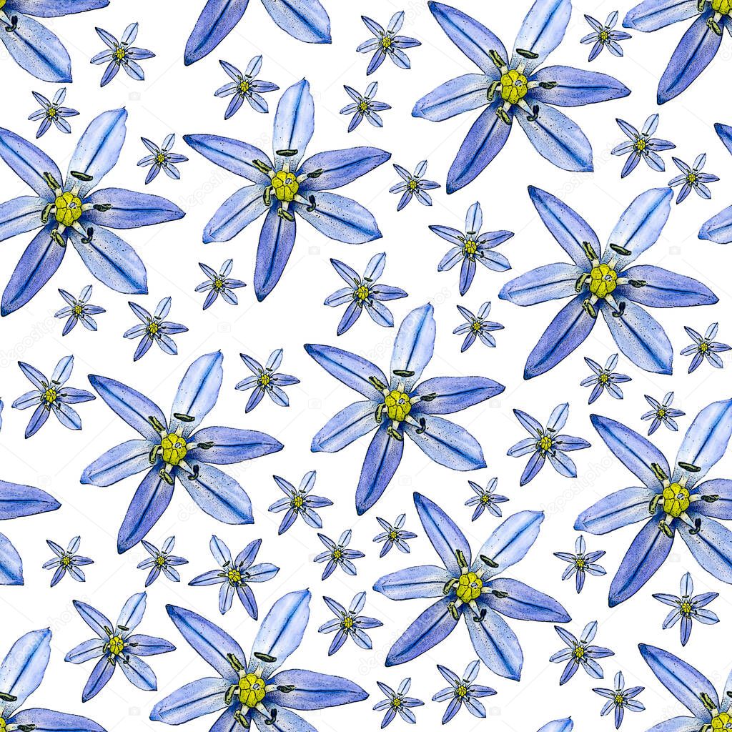 seamless blue snowdrops flowers pattern 