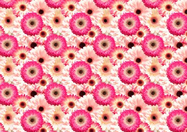 Çiçek desenli ve papatyalı. Soyut arka gruplandırma