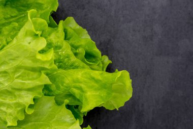 Siyah tahtada Yeşil Yaprak Salatası, kopyalama alanı, maket