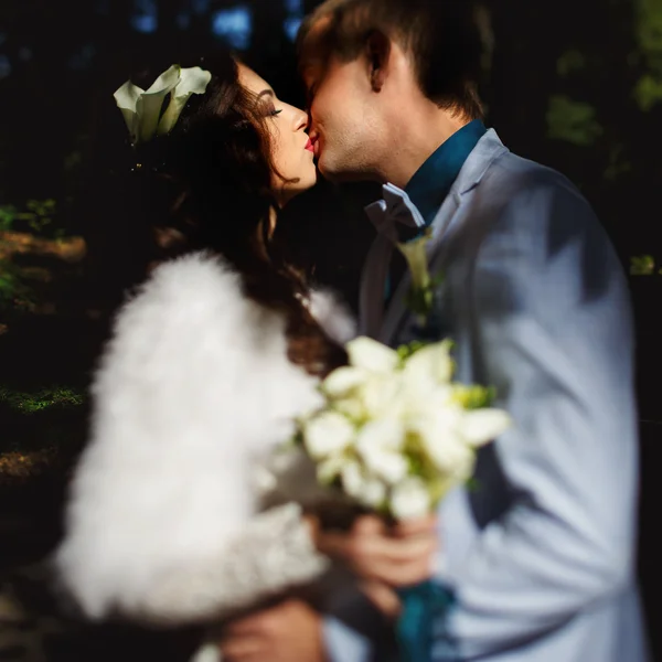 De nygifte kysser i solskinnet – stockfoto